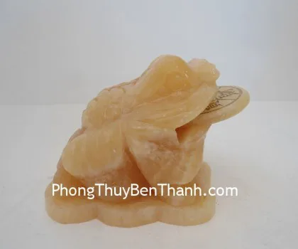 Thiềm thừ tam thể tân cương FTT-HL-F1-20161