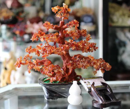 Cây tài lộc mã não đỏ  lớn ( không chữ) KC055