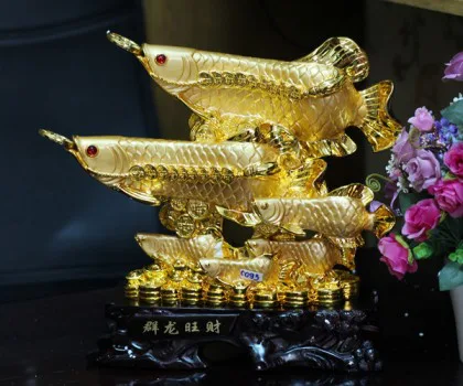 Lục ngư, 6 cá kim long vàng lướt sóng tiền - Quần long vượng tài C093A
