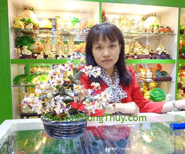 Chị Uyển - Khách Hàng mua Cây tài lộc gốc đẹp nhiều màu (trung) FKC077